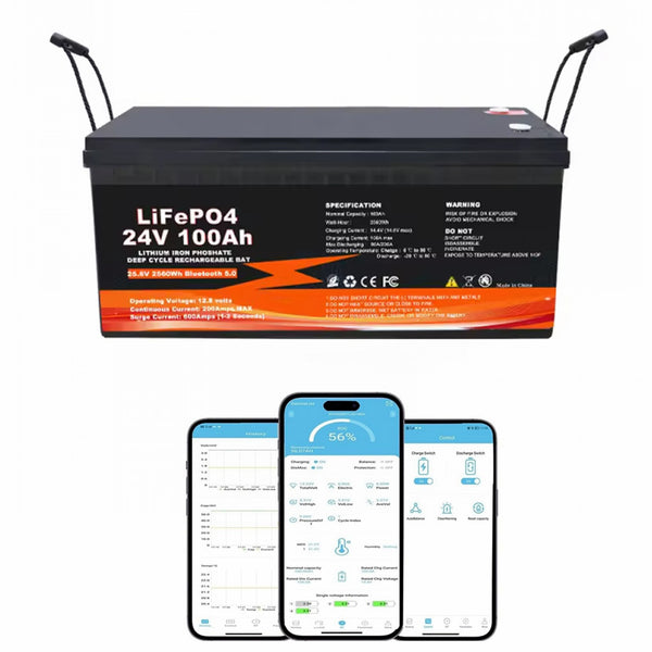 24V 29.2V 100Ah 2560Wh Intelligente LiFePO4 Akku mit 100A BMS Bluetooth perfekt für Wohnmobile Boote