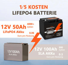 12V 50Ah Lifepo4 Akku-Ausgleichs-BMS für Elektroboote und unterbrechungsfreie Stromversorgungen