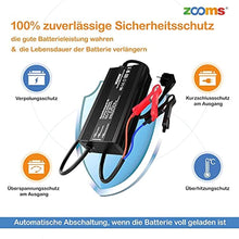 29.2V 20A Dediziertes LiFePO4-Ladegerät Für 24V(29.2V) Lithium Batterie Mit 4 Sicheren Schutzvorrichtungen