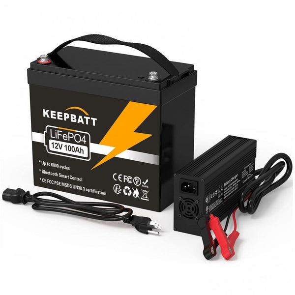 EU-Lager 12V 100AH Akku 12,8V LiFePO4 Batterie mit Bluetooth BMS und 14,6V 20A Lithium-Ladegerät für RV Boote Solarstromanlagen